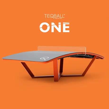Всепогодный игровой стол TEQBALL ONE - Фото 4