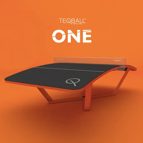 Всепогодный игровой стол TEQBALL ONE - Фото 12