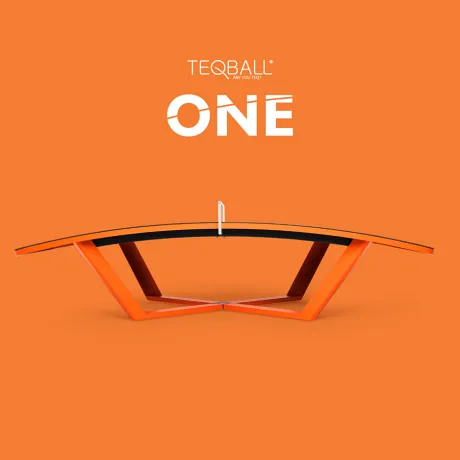 Всепогодный игровой стол TEQBALL ONE - Фото 2