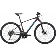 Велосипед Giant Roam 0 Disc (рама L)